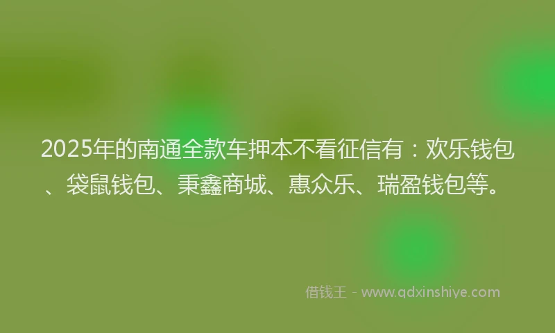 2025年的南通全款车押本不看征信有：欢乐钱包、袋鼠钱包、秉鑫商城、惠众乐、瑞盈钱包等。