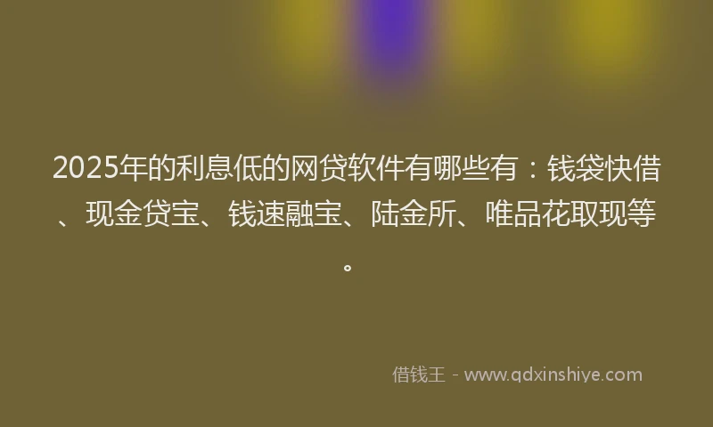 2025年的利息低的网贷软件有哪些有：钱袋快借、现金贷宝、钱速融宝、陆金所、唯品花取现等。