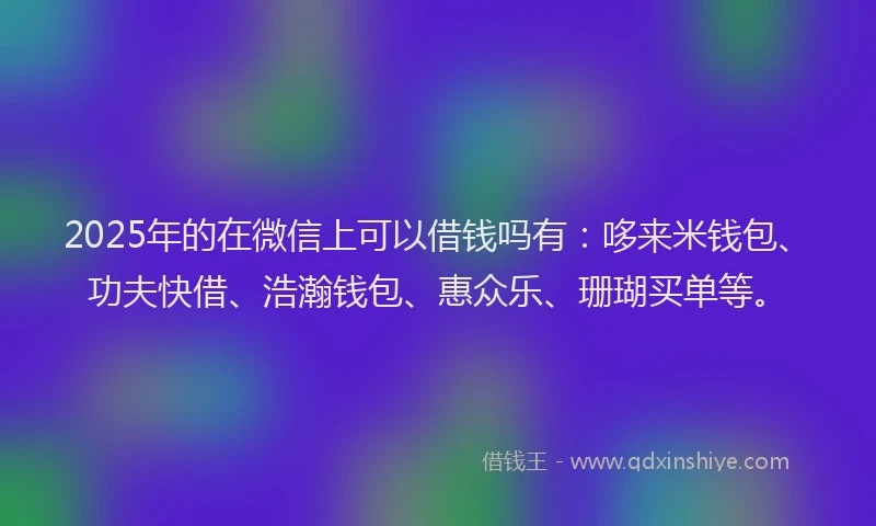 2025年的在微信上可以借钱吗有：哆来米钱包、功夫快借、浩瀚钱包、惠众乐、珊瑚买单等。