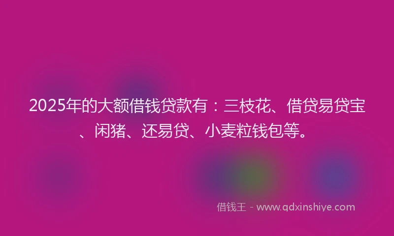 2025年的大额借钱贷款有：三枝花、借贷易贷宝、闲猪、还易贷、小麦粒钱包等。
