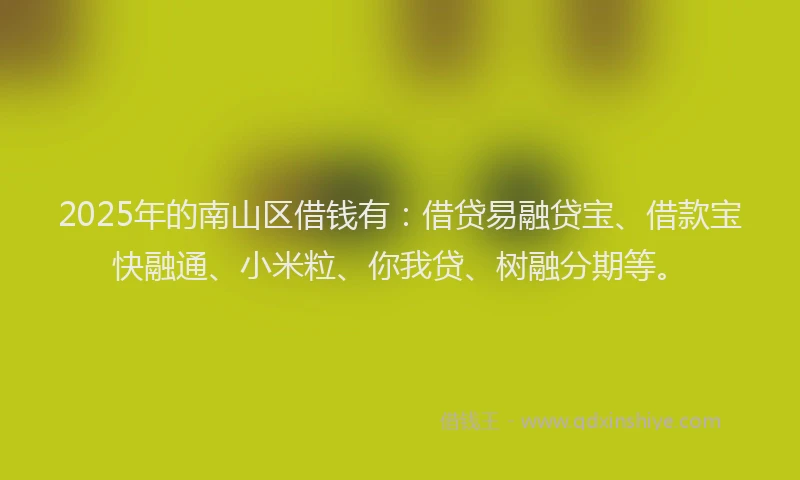 2025年的南山区借钱有：借贷易融贷宝、借款宝快融通、小米粒、你我贷、树融分期等。