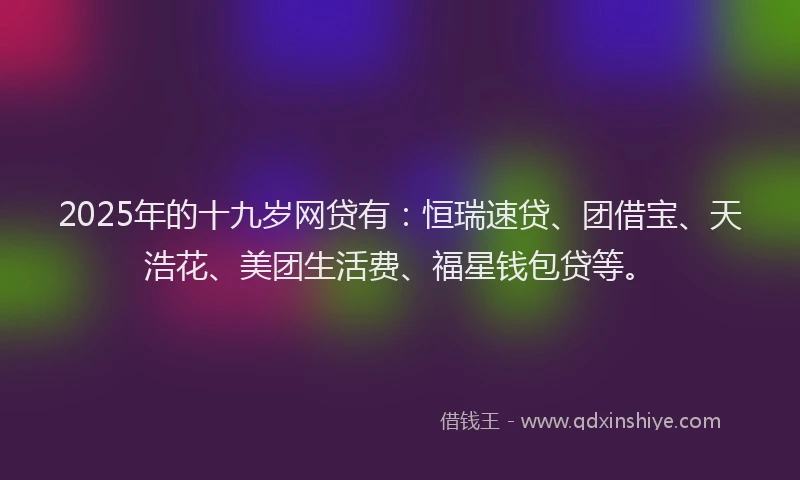 2025年的十九岁网贷有：恒瑞速贷、团借宝、天浩花、美团生活费、福星钱包贷等。