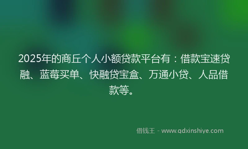 2025年的商丘个人小额贷款平台有：借款宝速贷融、蓝莓买单、快融贷宝盒、万通小贷、人品借款等。