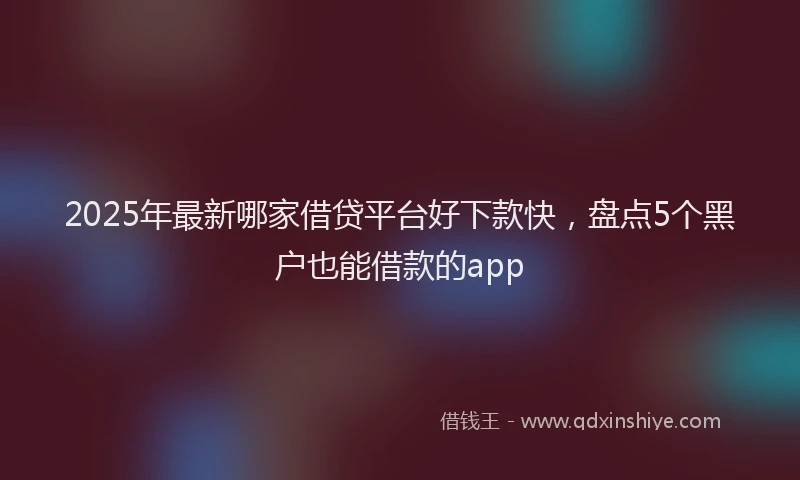 2025年最新哪家借贷平台好下款快，盘点5个黑户也能借款的app