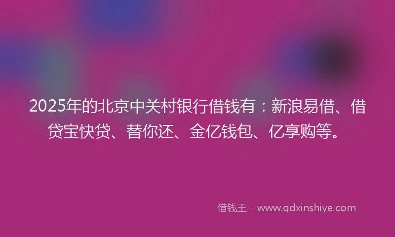 2025年的北京中关村银行借钱有：新浪易借、借贷宝快贷、替你还、金亿钱包、亿享购等。