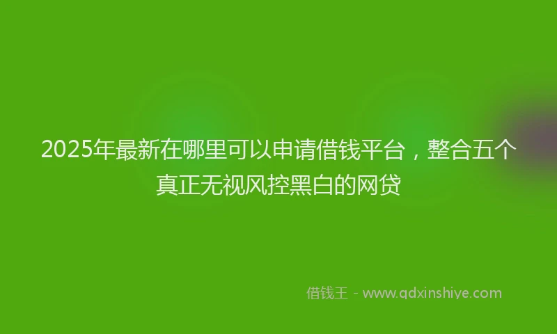 2025年最新在哪里可以申请借钱平台，整合五个真正无视风控黑白的网贷