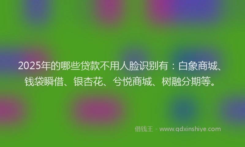 2025年的哪些贷款不用人脸识别有：白象商城、钱袋瞬借、银杏花、兮悦商城、树融分期等。