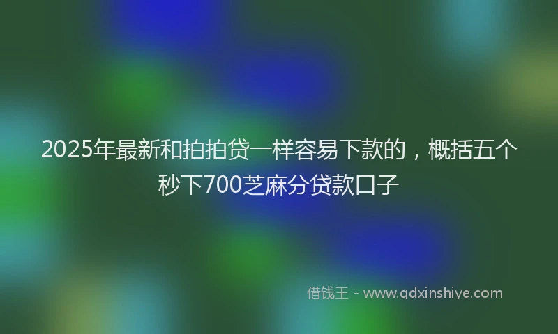 2025年最新和拍拍贷一样容易下款的，概括五个秒下700芝麻分贷款口子