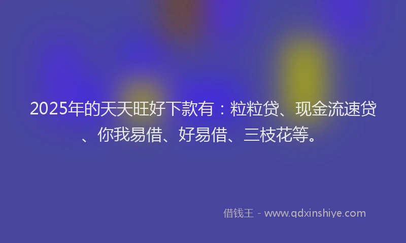 2025年的天天旺好下款有：粒粒贷、现金流速贷、你我易借、好易借、三枝花等。