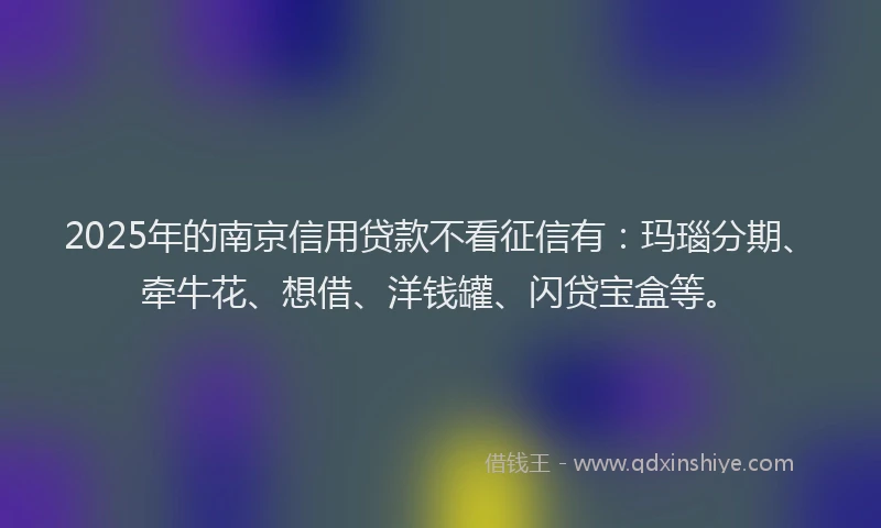 2025年的南京信用贷款不看征信有：玛瑙分期、牵牛花、想借、洋钱罐、闪贷宝盒等。