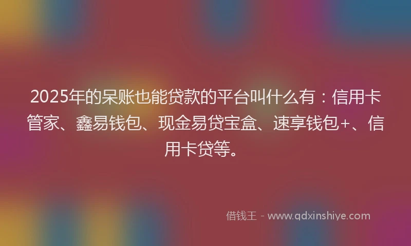 2025年的呆账也能贷款的平台叫什么有：信用卡管家、鑫易钱包、现金易贷宝盒、速享钱包+、信用卡贷等。