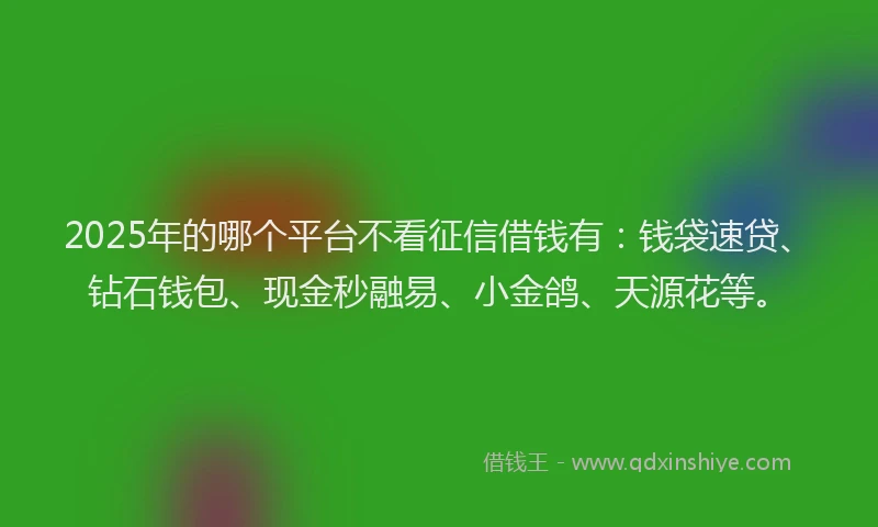 2025年的哪个平台不看征信借钱有：钱袋速贷、钻石钱包、现金秒融易、小金鸽、天源花等。