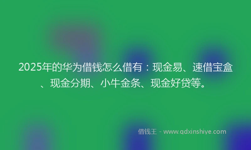 2025年的华为借钱怎么借有：现金易、速借宝盒、现金分期、小牛金条、现金好贷等。