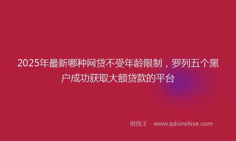 2025年最新哪种网贷不受年龄限制，罗列五个黑户成功获取大额贷款的平台