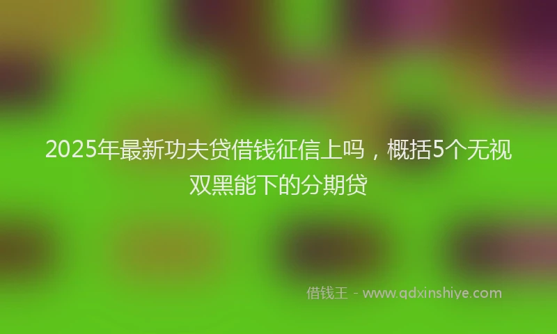 2025年最新功夫贷借钱征信上吗，概括5个无视双黑能下的分期贷