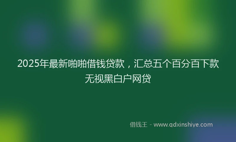 2025年最新啪啪借钱贷款，汇总五个百分百下款无视黑白户网贷