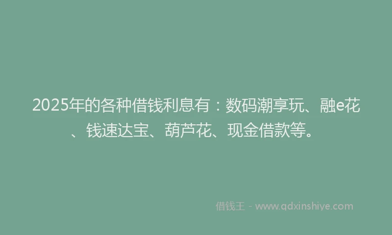 2025年的各种借钱利息有：数码潮享玩、融e花、钱速达宝、葫芦花、现金借款等。