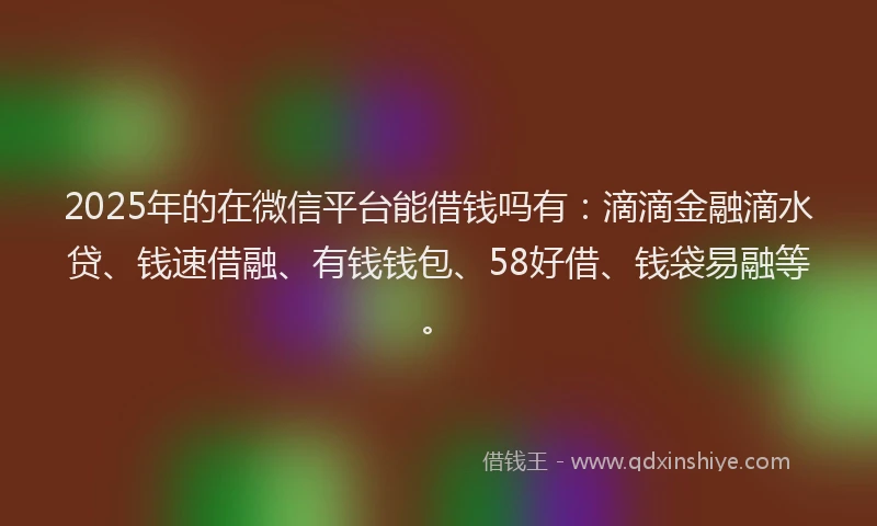2025年的在微信平台能借钱吗有：滴滴金融滴水贷、钱速借融、有钱钱包、58好借、钱袋易融等。