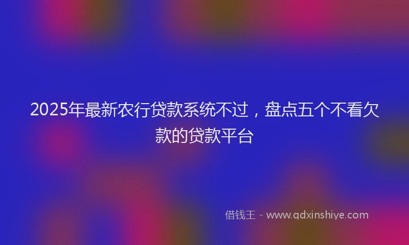 2025年最新农行贷款系统不过，盘点五个不看欠款的贷款平台
