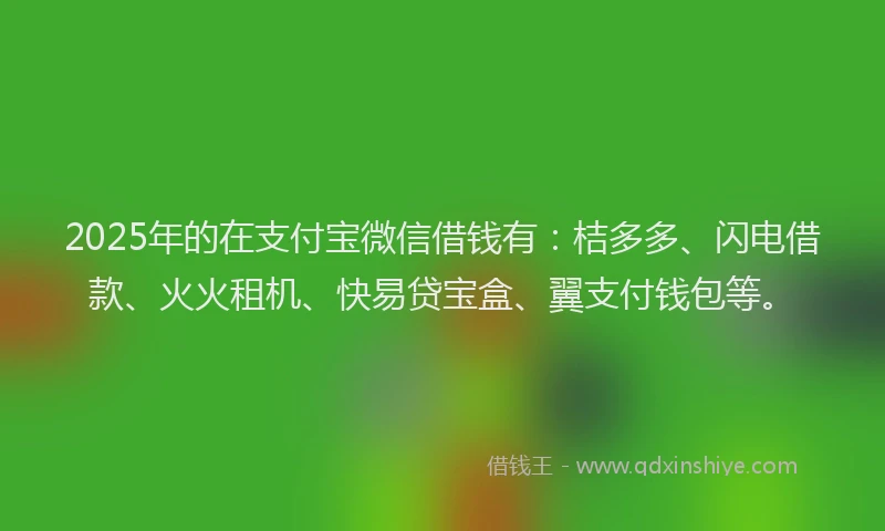 2025年的在支付宝微信借钱有：桔多多、闪电借款、火火租机、快易贷宝盒、翼支付钱包等。