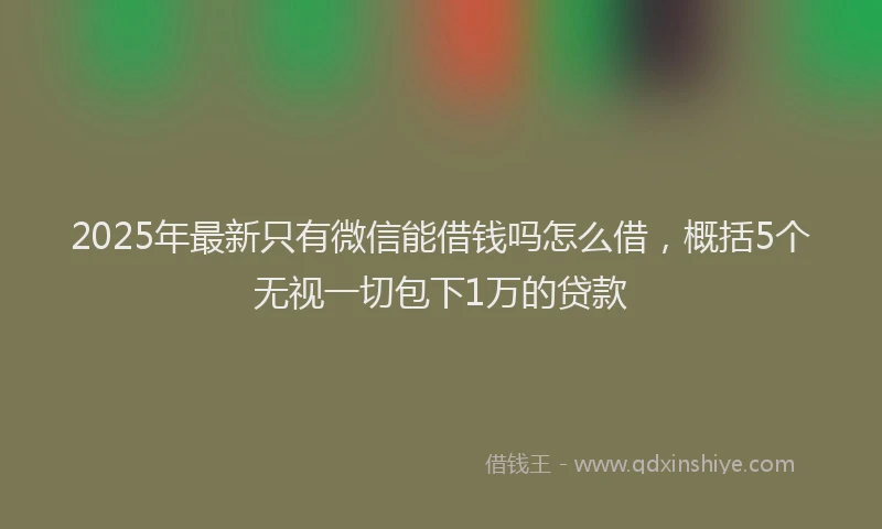2025年最新只有微信能借钱吗怎么借，概括5个无视一切包下1万的贷款