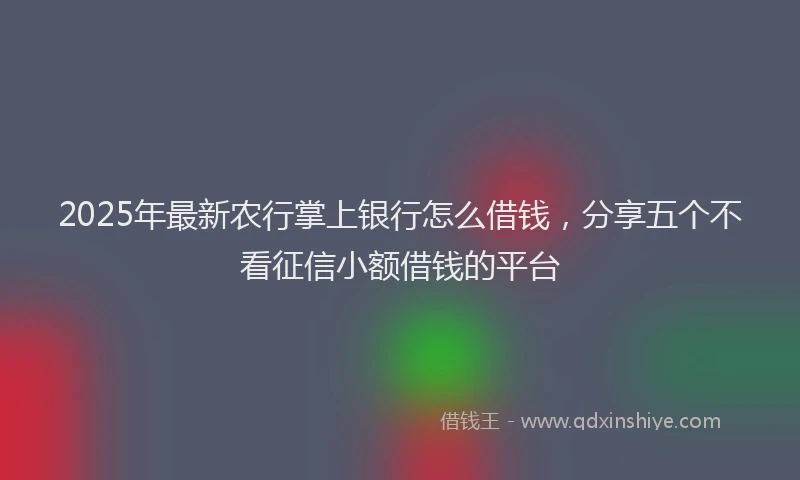 2025年最新农行掌上银行怎么借钱，分享五个不看征信小额借钱的平台