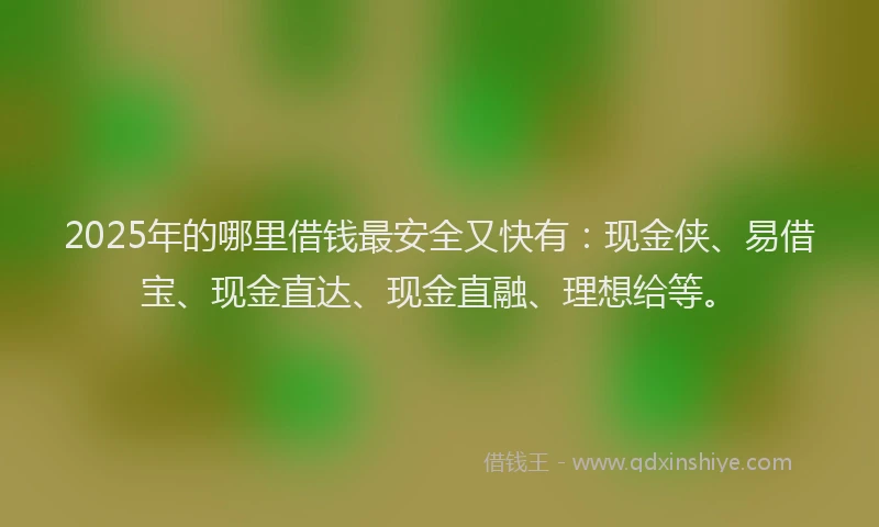 2025年的哪里借钱最安全又快有：现金侠、易借宝、现金直达、现金直融、理想给等。