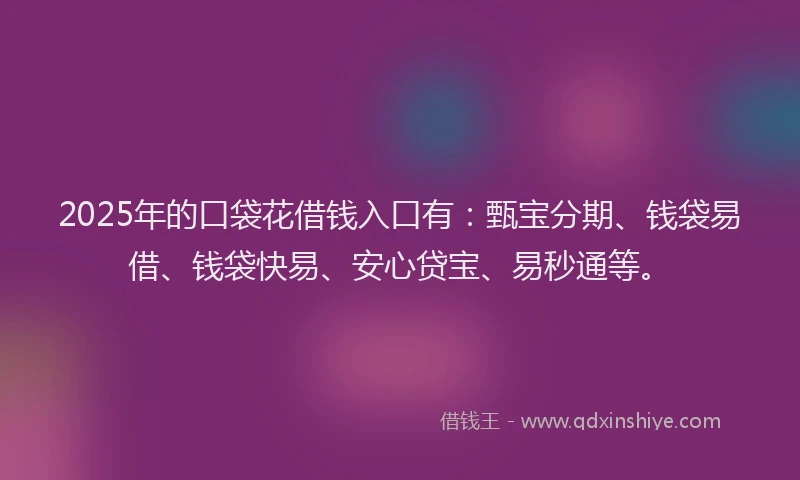 2025年的口袋花借钱入口有：甄宝分期、钱袋易借、钱袋快易、安心贷宝、易秒通等。
