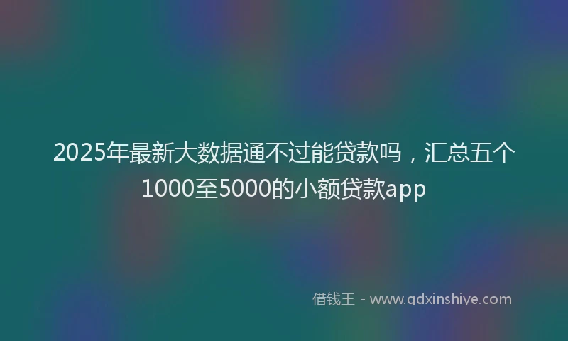 2025年最新大数据通不过能贷款吗，汇总五个1000至5000的小额贷款app