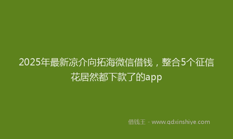2025年最新凉介向拓海微信借钱，整合5个征信花居然都下款了的app