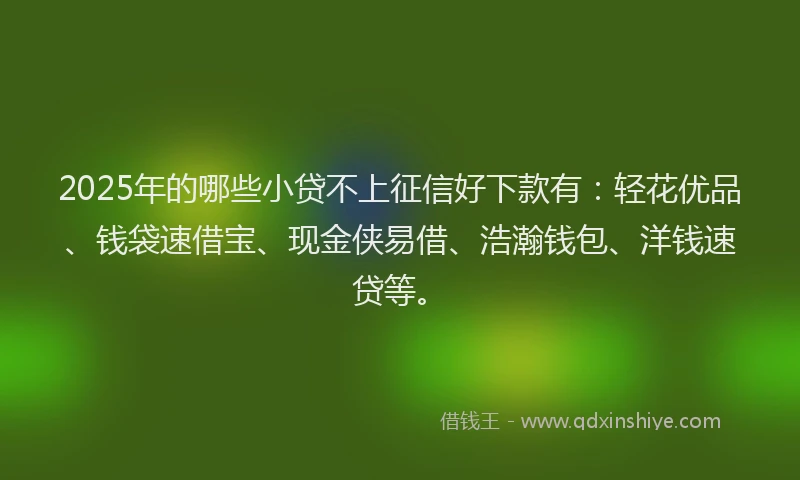 2025年的哪些小贷不上征信好下款有：轻花优品、钱袋速借宝、现金侠易借、浩瀚钱包、洋钱速贷等。