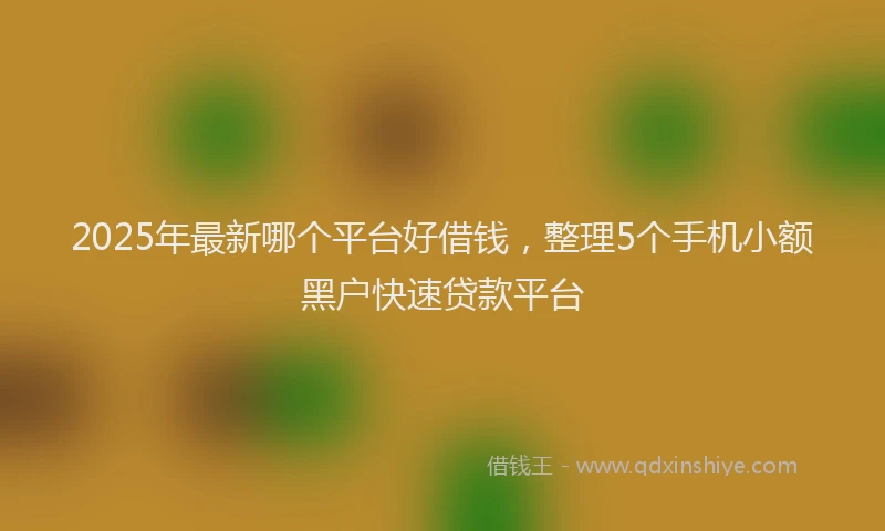 2025年最新哪个平台好借钱，整理5个手机小额黑户快速贷款平台
