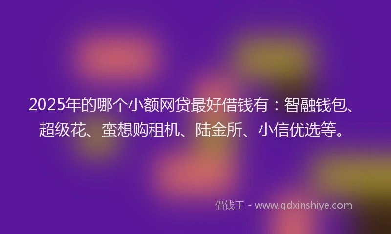 2025年的哪个小额网贷最好借钱有：智融钱包、超级花、蛮想购租机、陆金所、小信优选等。