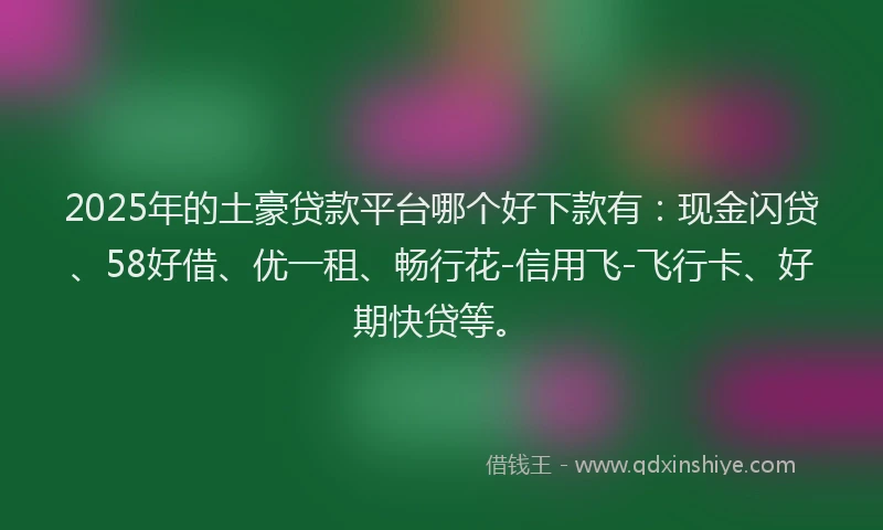 2025年的土豪贷款平台哪个好下款有：现金闪贷、58好借、优一租、畅行花-信用飞-飞行卡、好期快贷等。