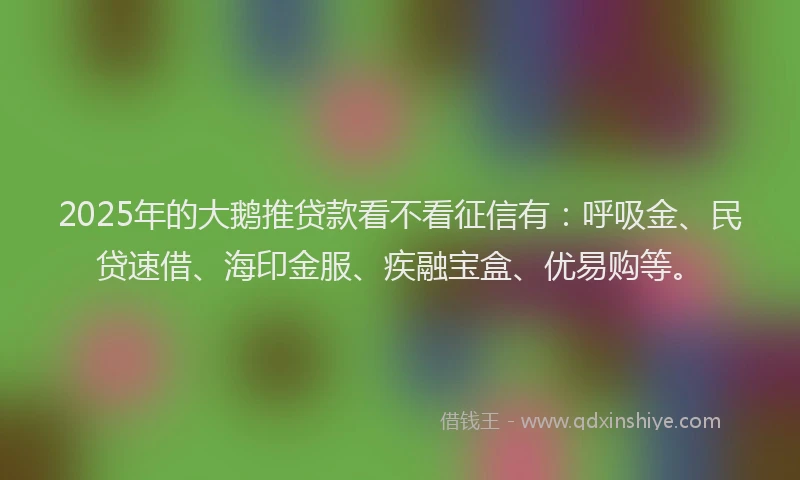 2025年的大鹅推贷款看不看征信有：呼吸金、民贷速借、海印金服、疾融宝盒、优易购等。