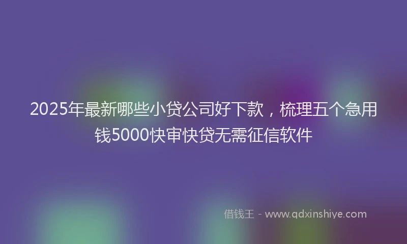 2025年最新哪些小贷公司好下款，梳理五个急用钱5000快审快贷无需征信软件