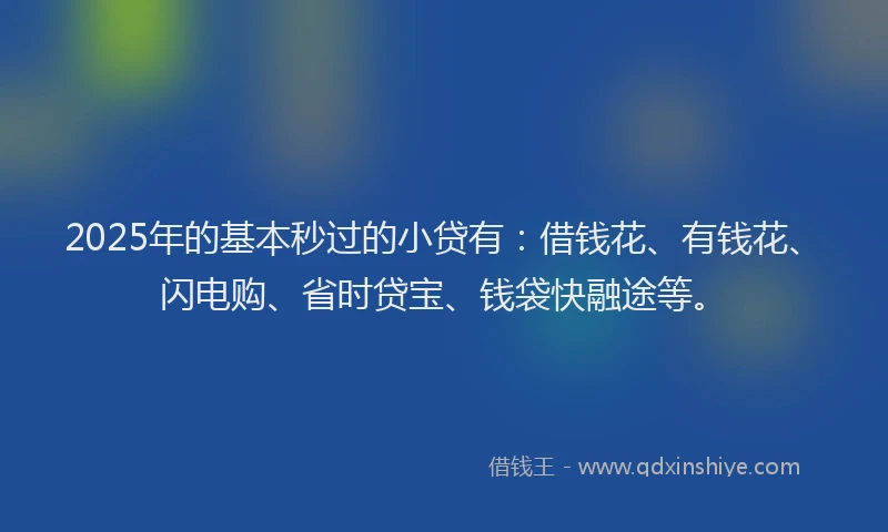 2025年的基本秒过的小贷有：借钱花、有钱花、闪电购、省时贷宝、钱袋快融途等。