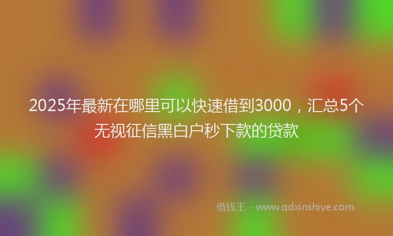 2025年最新在哪里可以快速借到3000，汇总5个无视征信黑白户秒下款的贷款