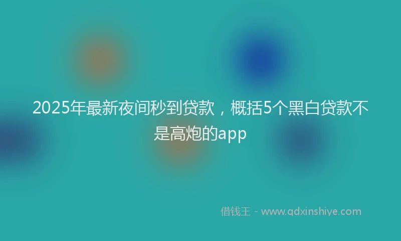 2025年最新夜间秒到贷款，概括5个黑白贷款不是高炮的app