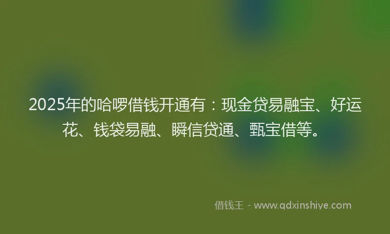 2025年的哈啰借钱开通有：现金贷易融宝、好运花、钱袋易融、瞬信贷通、甄宝借等。