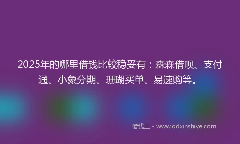 2025年的哪里借钱比较稳妥有：森森借呗、支付通、小象分期、珊瑚买单、易速购等。