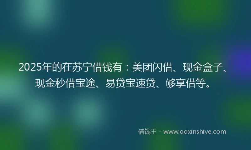 2025年的在苏宁借钱有：美团闪借、现金盒子、现金秒借宝途、易贷宝速贷、够享借等。