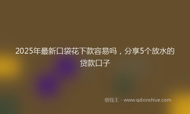 2025年最新口袋花下款容易吗，分享5个放水的贷款口子