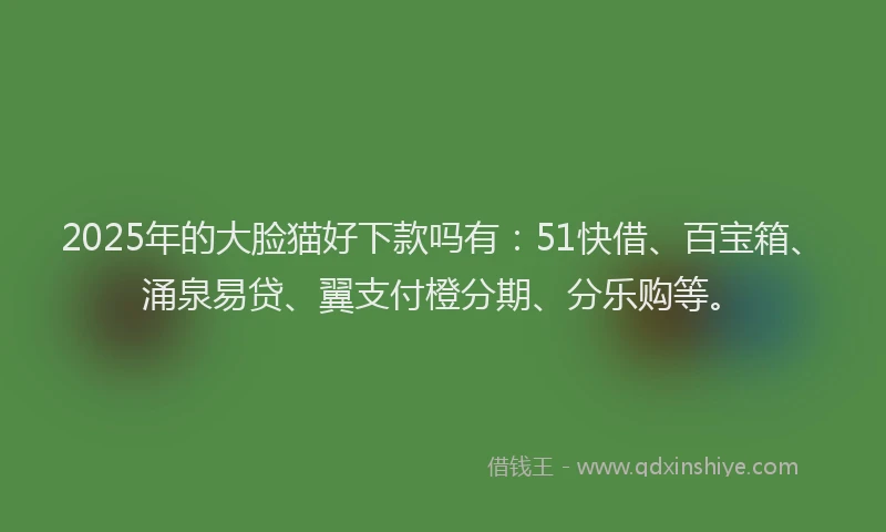 2025年的大脸猫好下款吗有：51快借、百宝箱、涌泉易贷、翼支付橙分期、分乐购等。