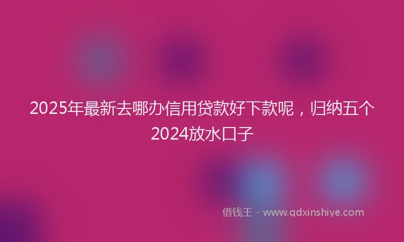 2025年最新去哪办信用贷款好下款呢，归纳五个2024放水口子