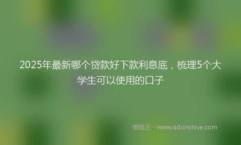 2025年最新哪个贷款好下款利息底，梳理5个大学生可以使用的口子
