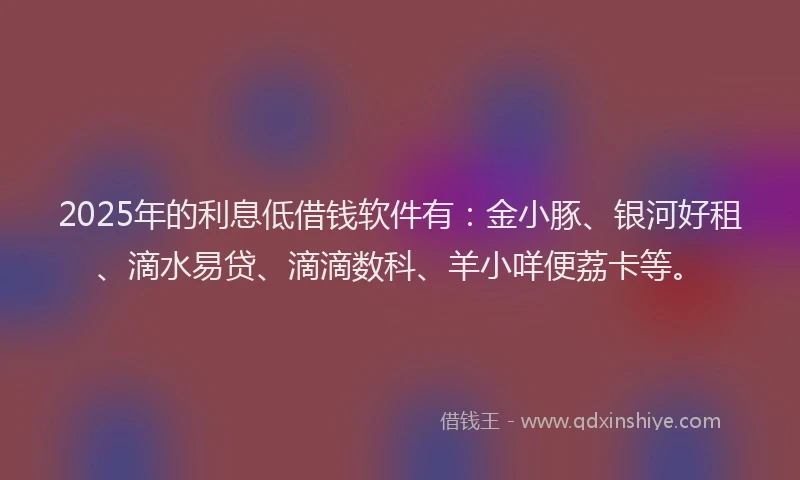 2025年的利息低借钱软件有：金小豚、银河好租、滴水易贷、滴滴数科、羊小咩便荔卡等。