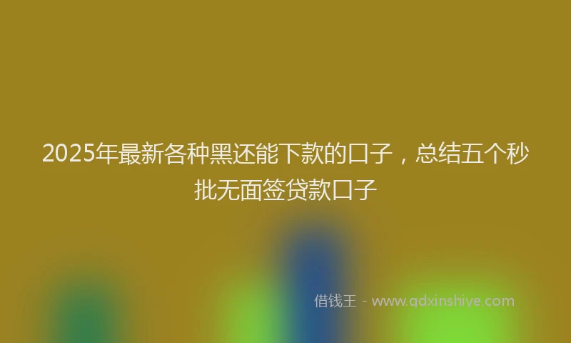 2025年最新各种黑还能下款的口子，总结五个秒批无面签贷款口子