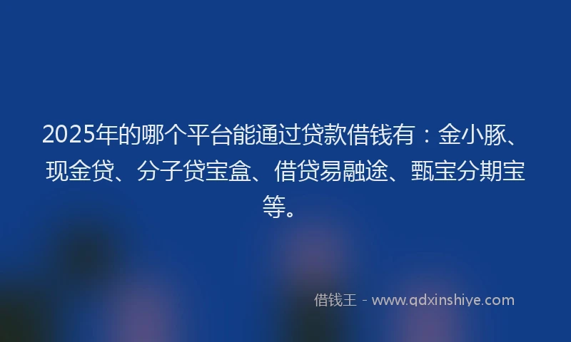 2025年的哪个平台能通过贷款借钱有：金小豚、现金贷、分子贷宝盒、借贷易融途、甄宝分期宝等。