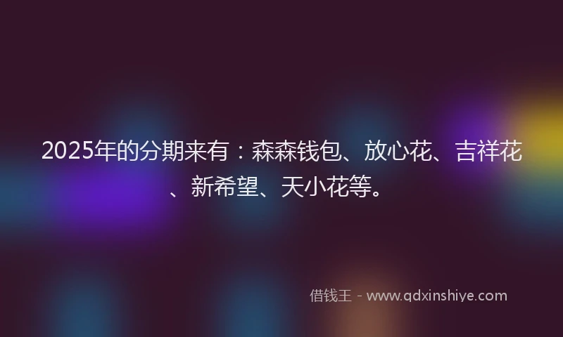 2025年的分期来有：森森钱包、放心花、吉祥花、新希望、天小花等。